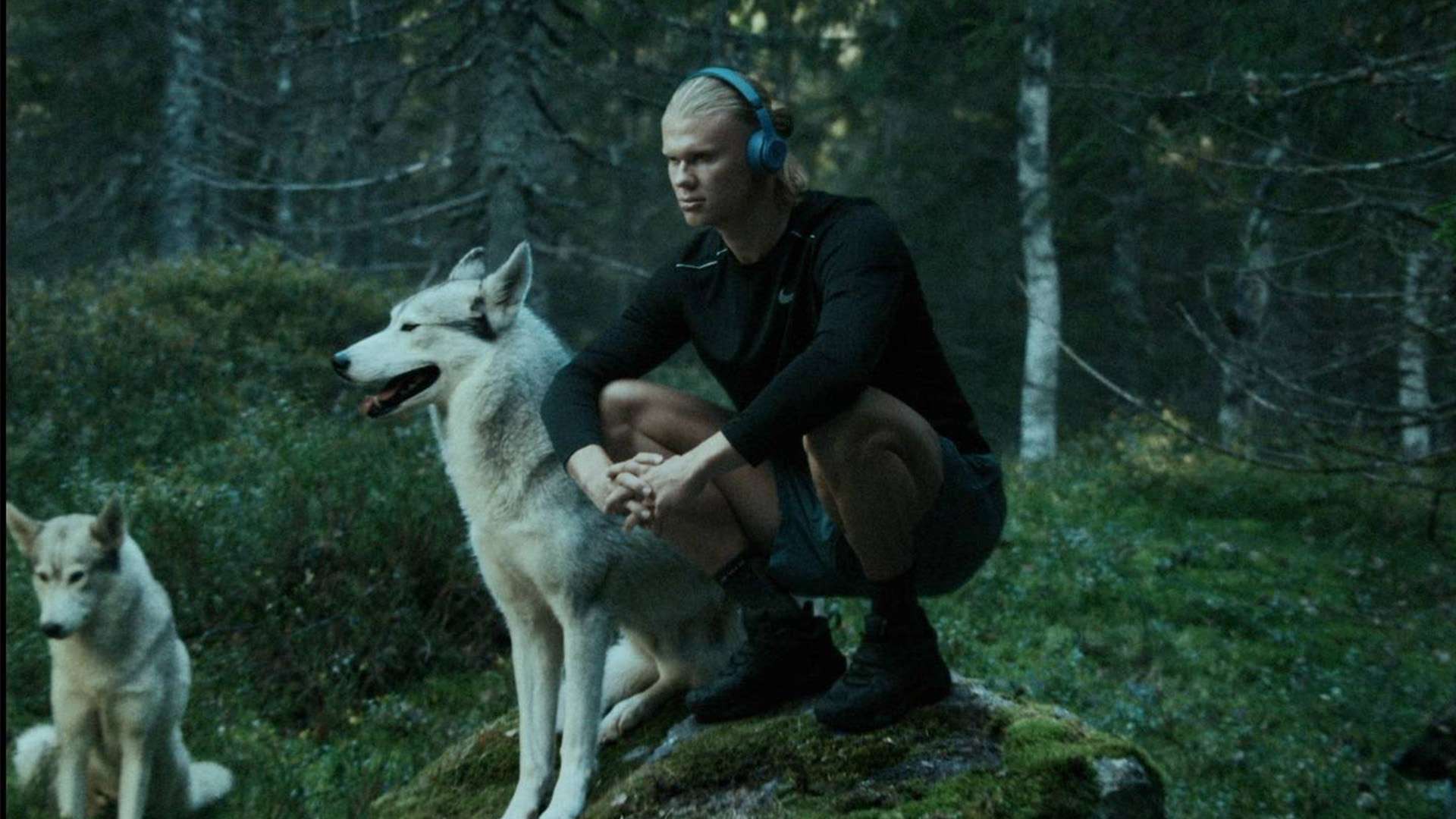 年大规模的 年大规模的