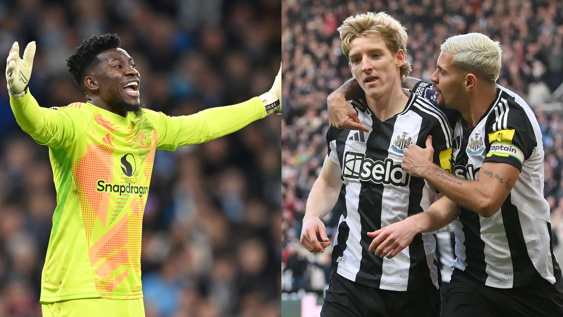 加盟美國職 加盟美國職