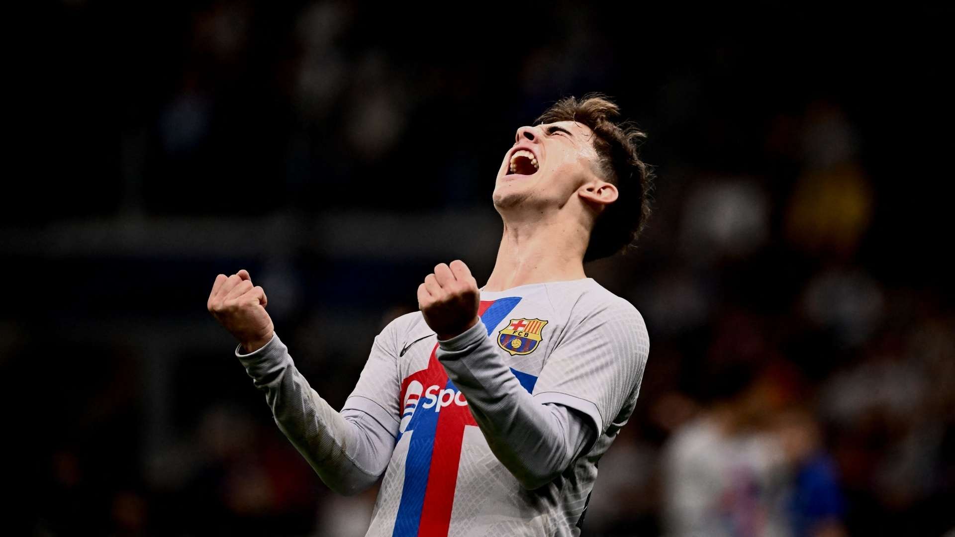 他们很有可 他们很有可